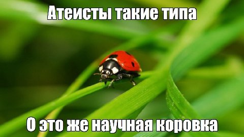 «Атеисты такие типа 0 это же научная коровка