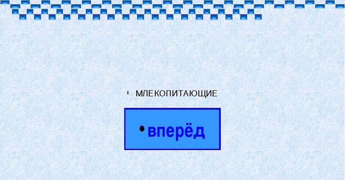 МЛЕКОПИТАЮЩИЕ