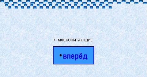 МЛЕКОПИТАЮЩИЕ