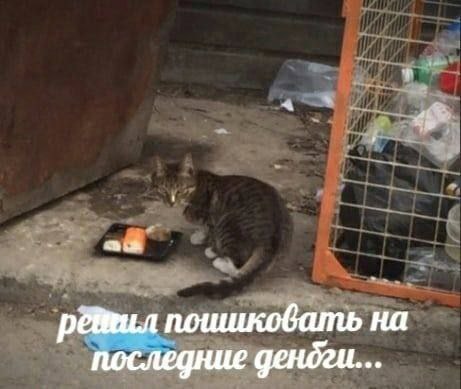 поишковать на последние дендги