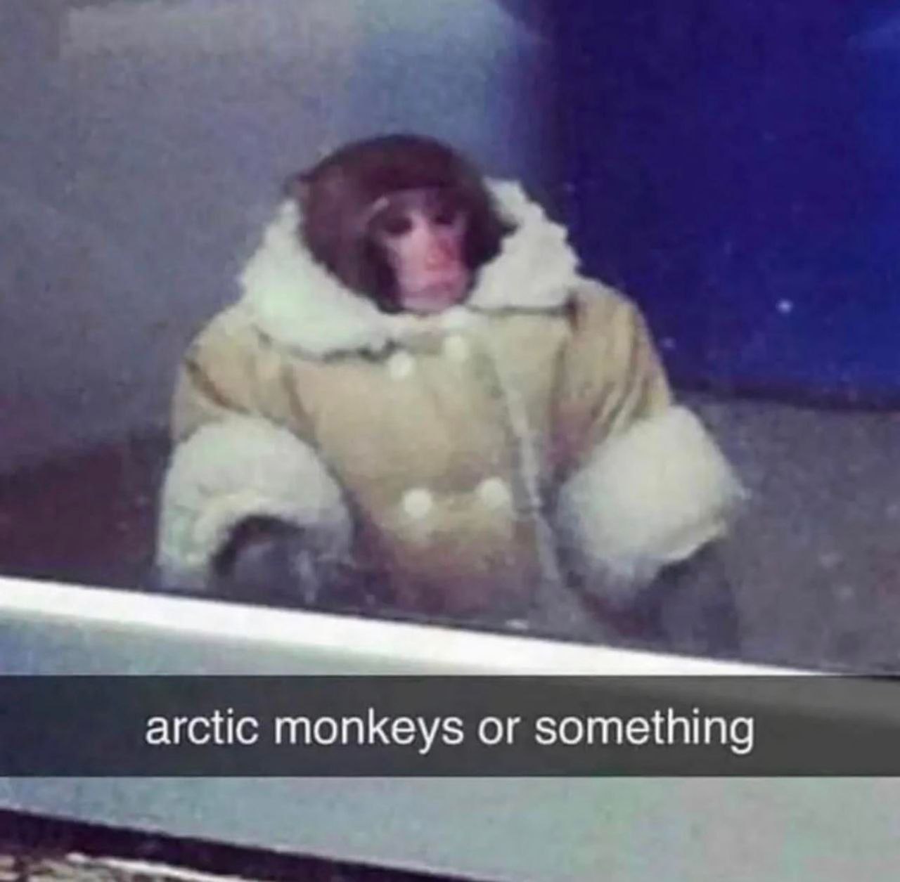arctic monkeys or something