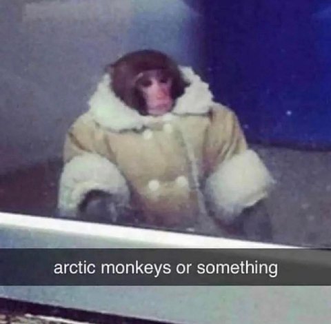arctic monkeys or something