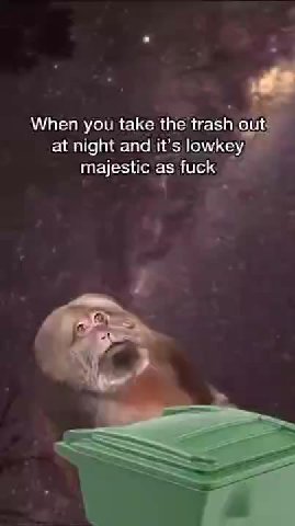 мем