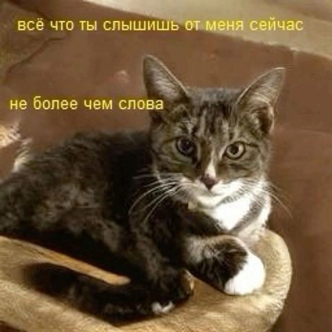 всё что ты слышишь от меня сейчас не более чем слова