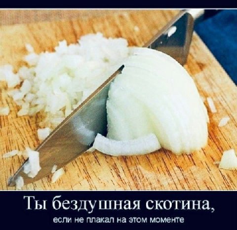 a А Ты бездушная скотина, если не плакал на этом моменте