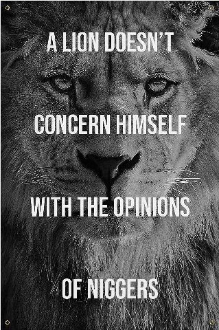 CONCERN HIMSELF WITH THE OPINIONS