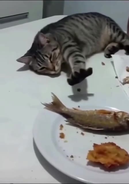 Е: