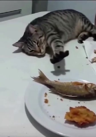 Е: