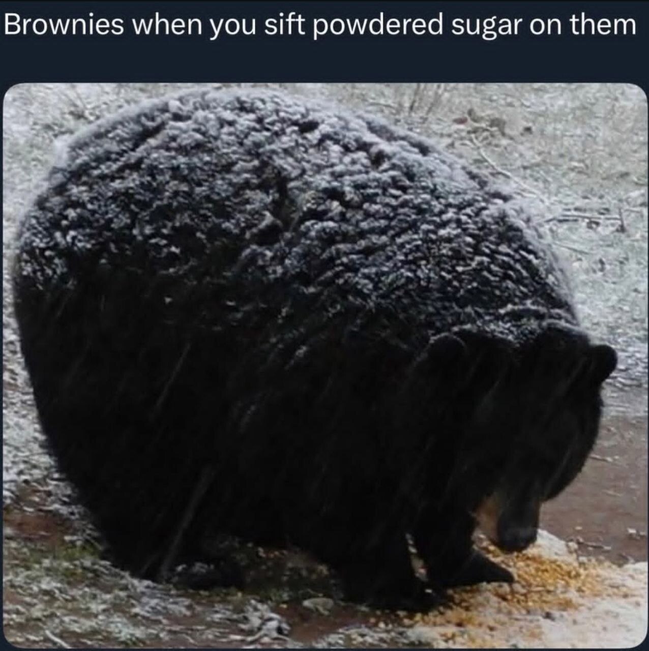 Brownies when you sift powdered sugar on them