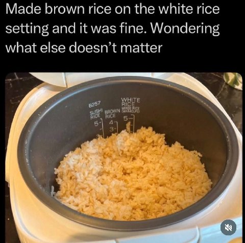 Made brown rice on the white rice setting and it was fine. Wondering what else doesn’t matter 7