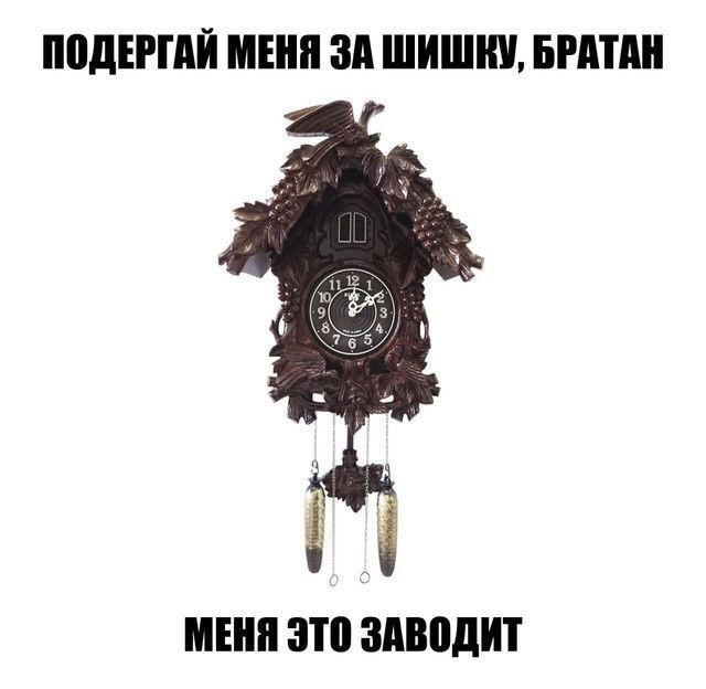 ПОДЕРГАЙ МЕНЯ ЗА ШИШКУ, БРАТАН pei is МЕНЯ ЭТО ЗАВОДИТ