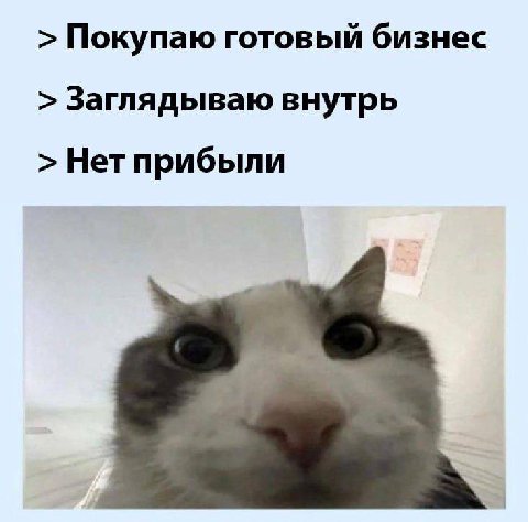 Покупаю готовый бизнес Заглядываю внутрь Нет прибыли