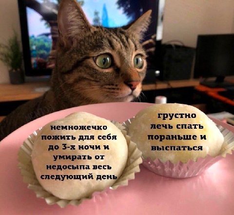 4 грустно немножечко лечь спать пожить для себя пораньше и до ночии выспаться умирать от недосыпа весь следующий день
