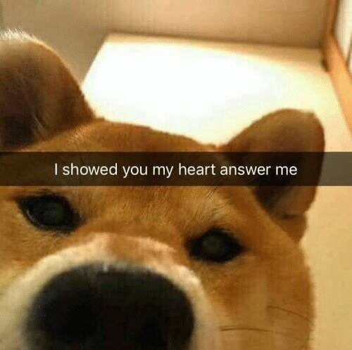 showed you my heart answer me