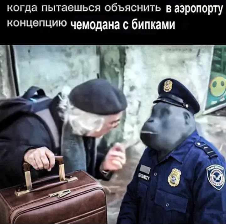 когда пытаешься объяснить в аэропорту концепцию чемодана с бипками