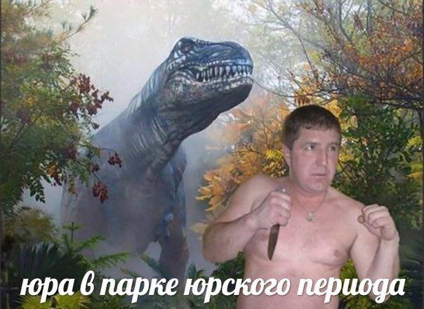 a 12 11 юра 6 парке юрского периода