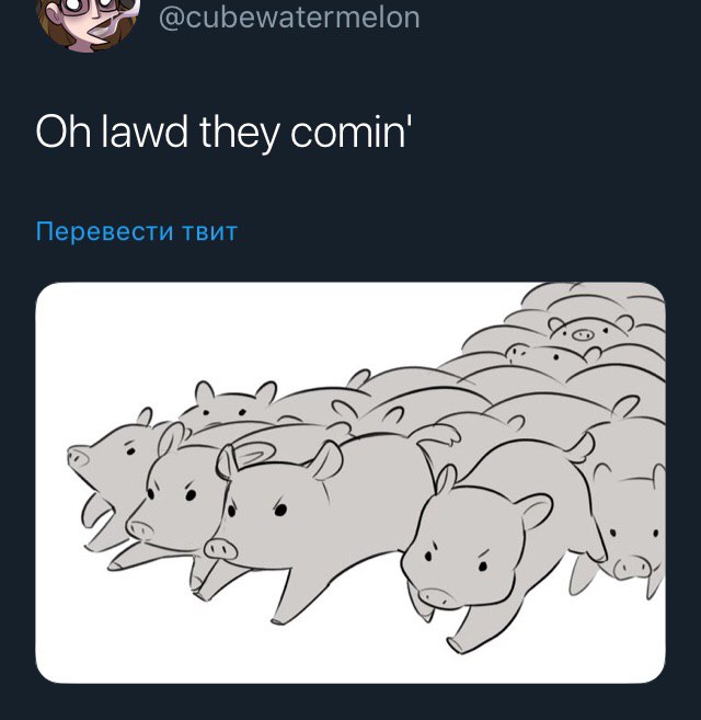@cubewatermelon lawd they Перевести TBUT