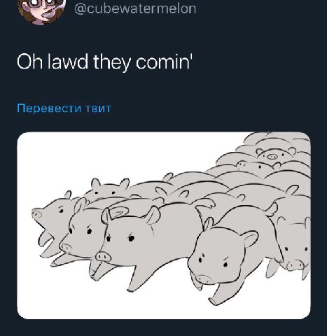 @cubewatermelon lawd they Перевести TBUT