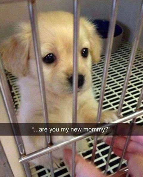 я “...аге you my new mommy?”