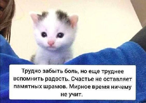 ее Трудно забыть боль, но еще труднее вспомнить радость. Счастье не оставляет памятных шрамов. Мирное время ничему не учит.