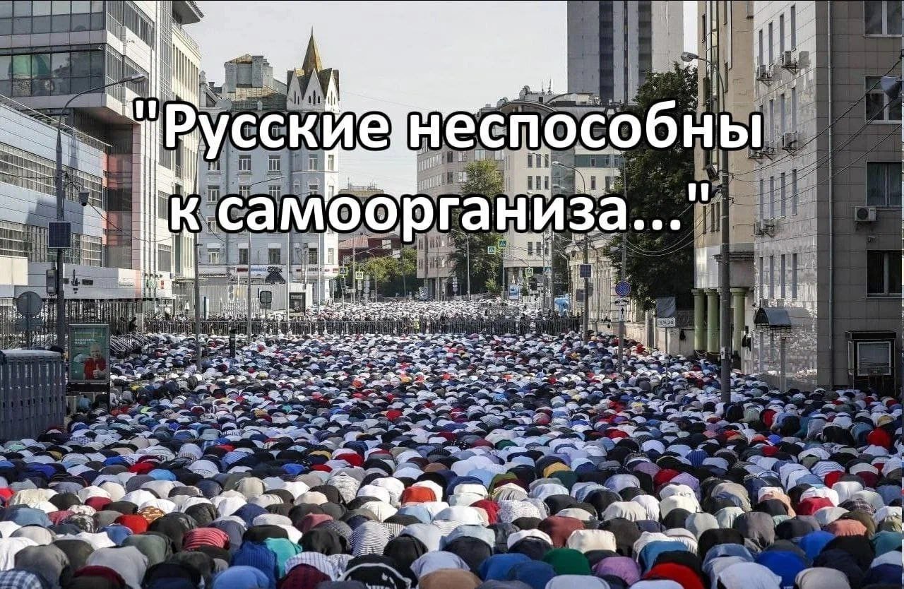 в i iit сские неспосо к camoo рганиза... 2 у 2 2