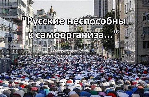 в i iit сские неспосо к camoo рганиза... 2 у 2 2