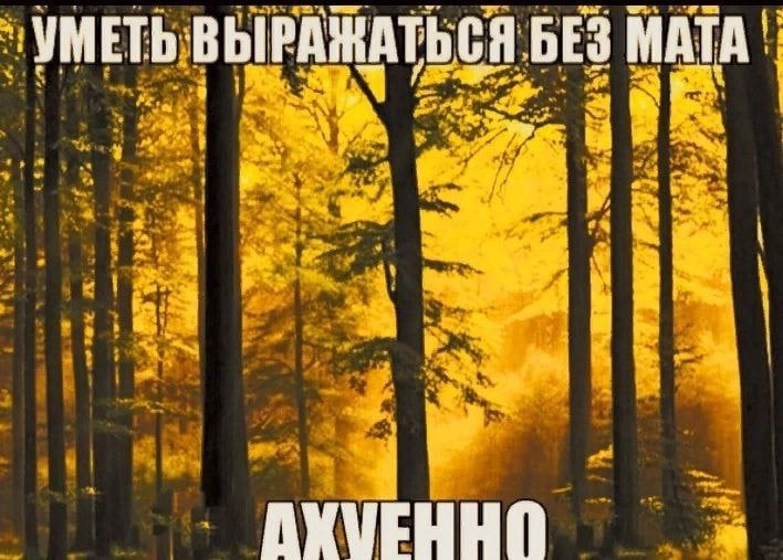 УМЕТЬ ВЫ РАЖАТЬСЯ БЕЗ МАТА AXVEHHN