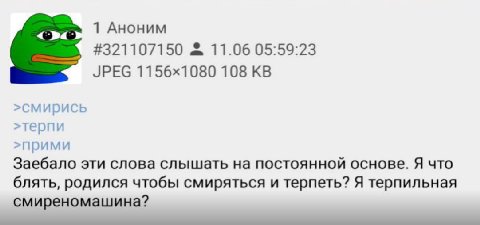 1 Аноним #321107150 11.06 05:59:23 JPEG 108 >смирись >терпи >прими Заебало эти слова слышать на постоянной основе. Я что блять, родился чтобы смиряться и терпеть? Я терпильная смиреномашина?