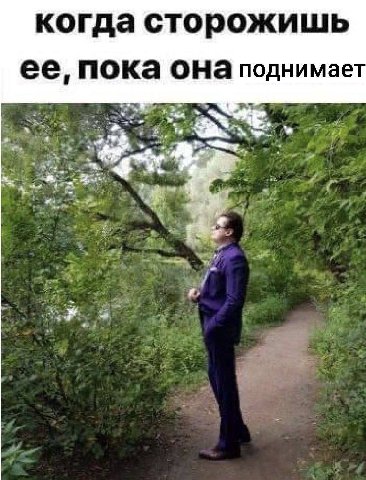 когда сторожишь ее, пока она поднимает