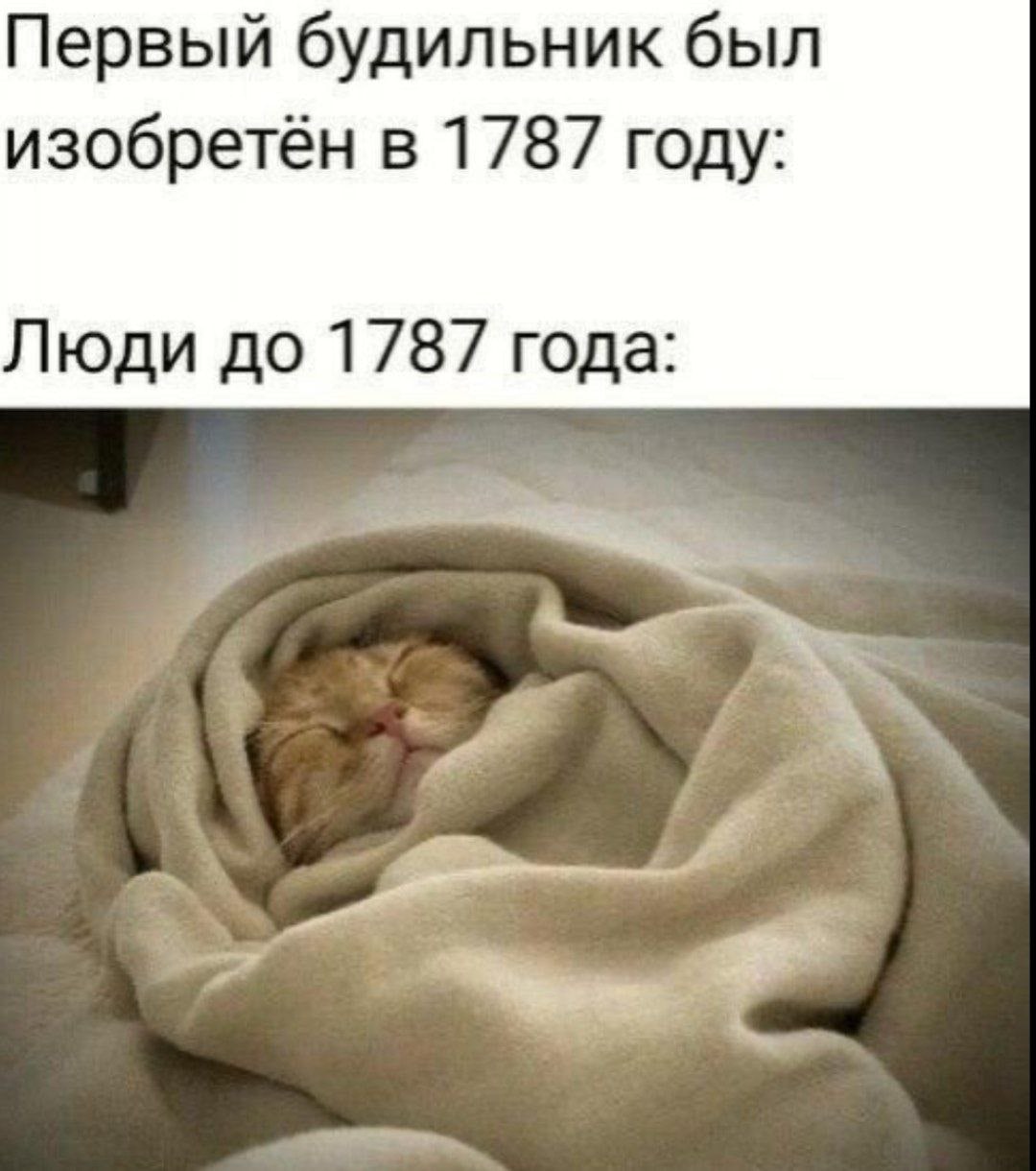 Первый будильник был изобретён в 1787 году: Люди до 1787 года: