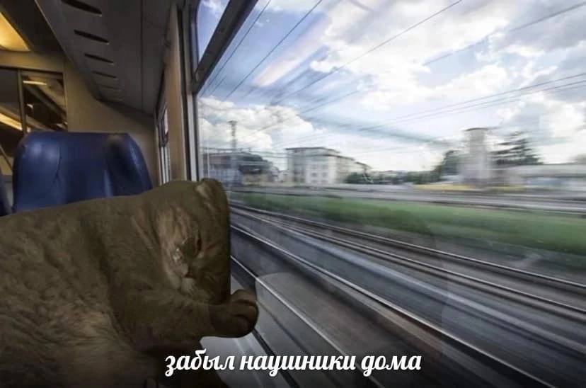 забыл наушники дома