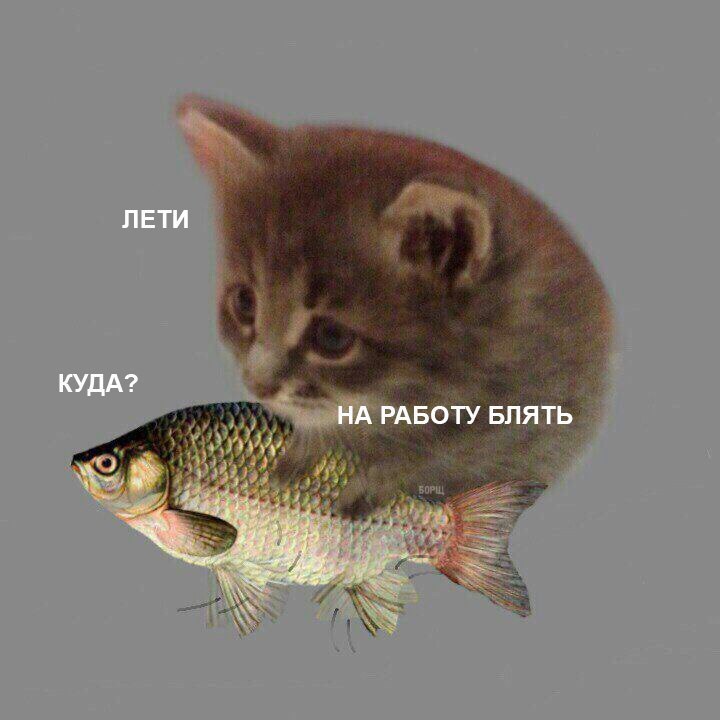ЛЕТИ КУДА? НА РАБОТУ БЛЯТЬ