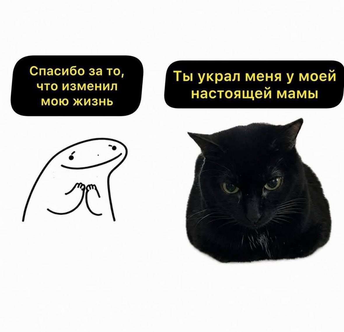 Спасибо за то, Ты украл меня у моей что изменил настоящей мамы МОЮ ЖИЗНЬ