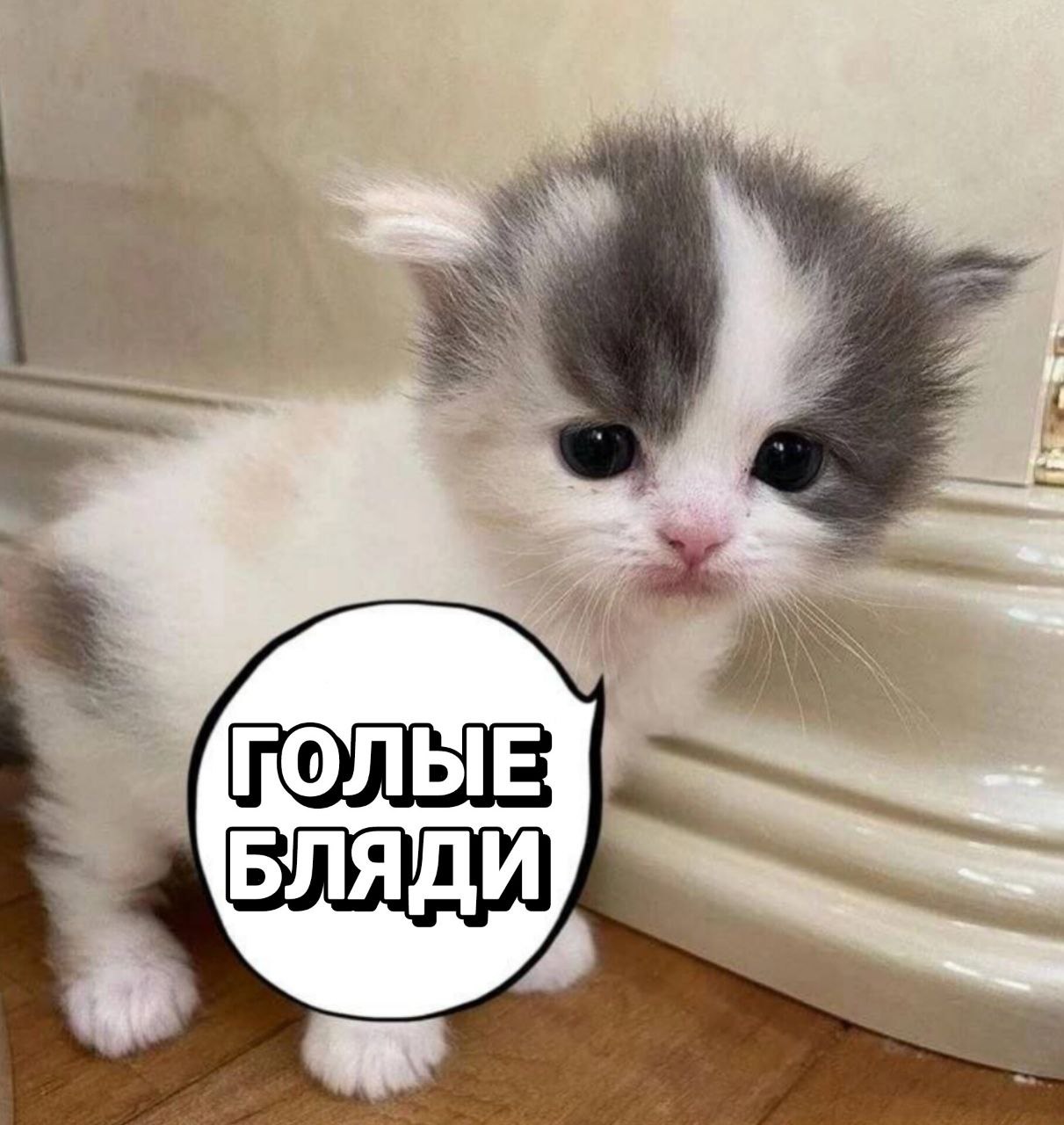 ПОЛЫЕ