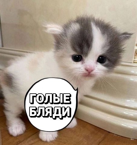 ПОЛЫЕ