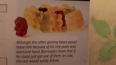 Although the other gummy bears would tease him because of his tiny paws and oversized head, Barrington knew that if he could just get one of them on side, the rest would surely follow.