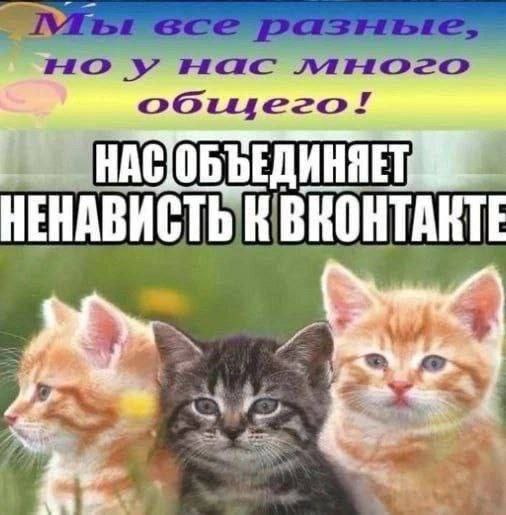но Hac MHOZO ОБЪЕДИНЯЕТ НЕНАВИСТЬ К ВКОНТАКТЕ 4.