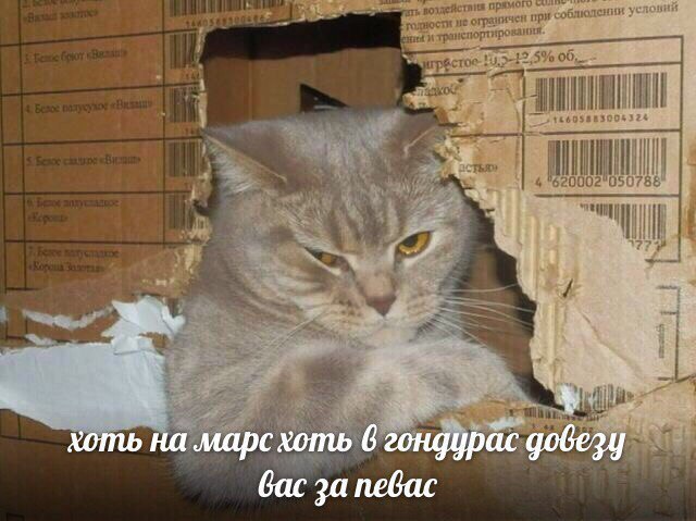 у хоть на марс хоть 6 гондурас довезу бас за певас
