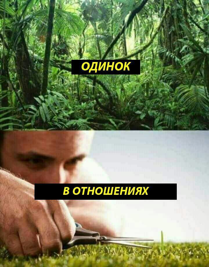 a i MGS одинок 7 A В ОТНОШЕНИЯХ я
