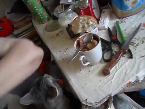 это должна быть жена того челика, который снимал как ломают будку и захлебывался