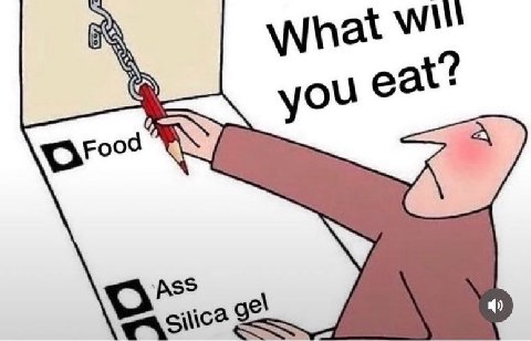 hat Will мса 9