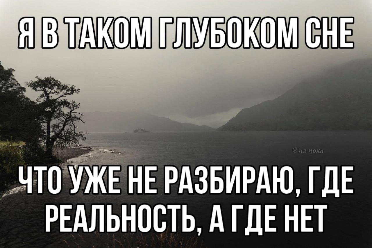 CHE ЧТОУЖЕНЕ РАЗБИРАЮ. ГДЕ РЕАЛЬНОСТЬ. АГДЕ НЕТ