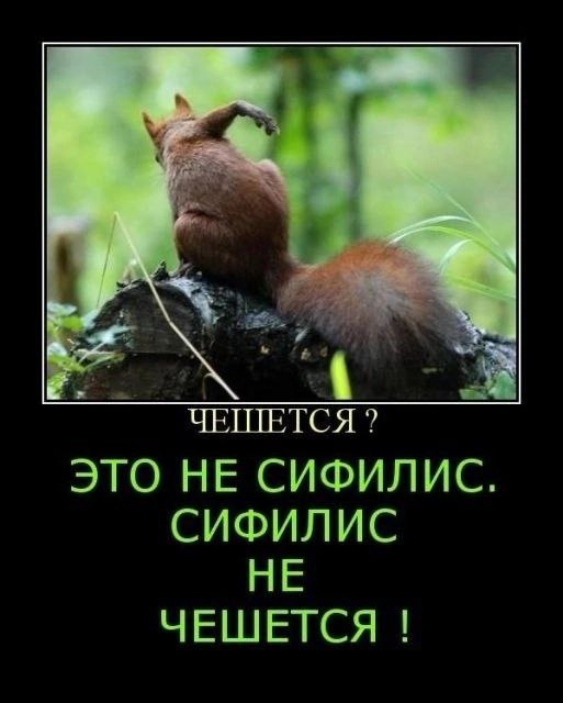 ЧЕШЕТСЯ? ЭТО НЕ СИФИЛИС. СИФИЛИС НЕ ЧЕШЕТСЯ