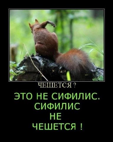 ЧЕШЕТСЯ? ЭТО НЕ СИФИЛИС. СИФИЛИС НЕ ЧЕШЕТСЯ