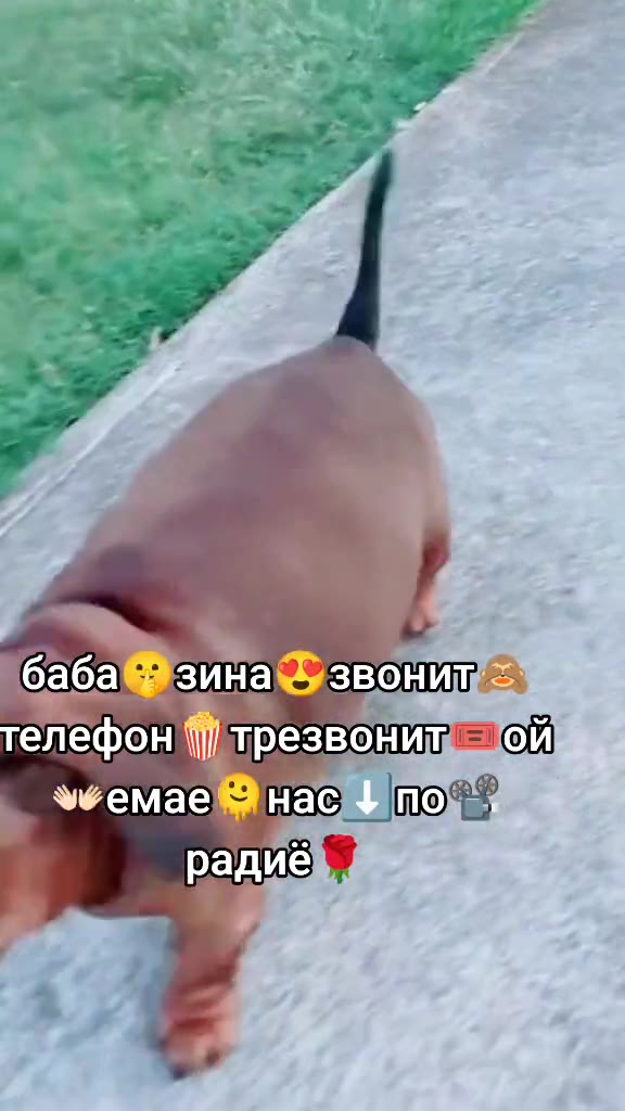 телефон О: SS "бабавизинам звонить телефон трезвоним ой бабащазина звонит = a= емаежнас по a es баба зина звонит = \уфемае нас пол“)