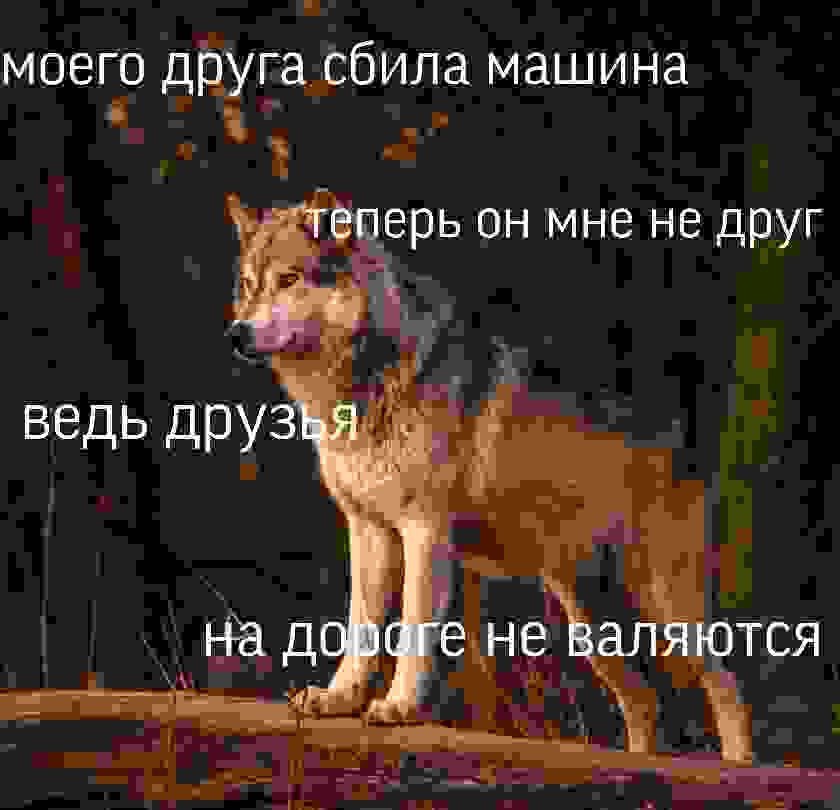 моего друга сбила машина теперь он мне не друг ведь друзья на не валяются