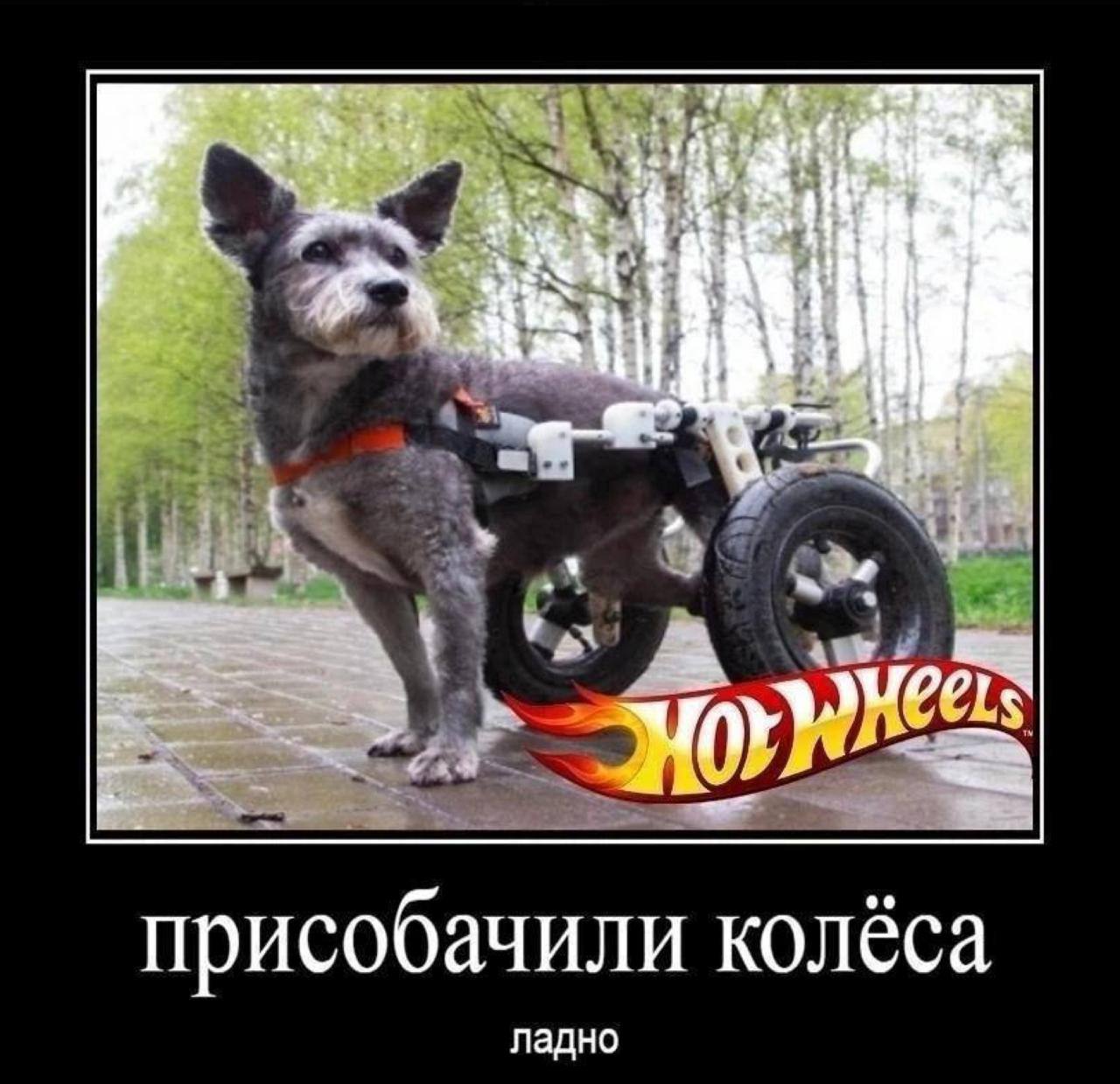 4 присобачили колёса ладно