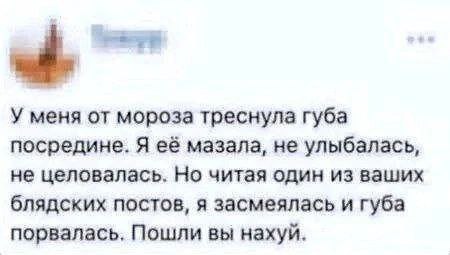 У меня от мороза треснула губа посредине. Я её мазала, не улыбалась, не целовалась. Но читая один из ваших блядских постов, я засмеялась и губа порвалась. Пошли вы нахуй.