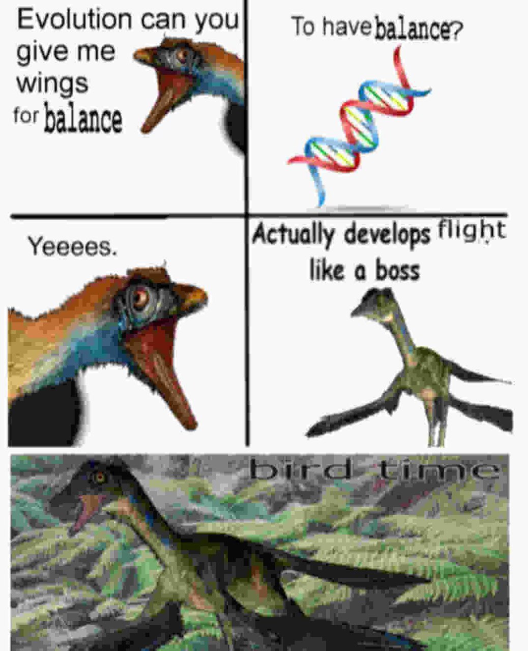 Evolution can you To have balance? give me у wings for halance Actually develops flight Yeeees. like a boss 2 к