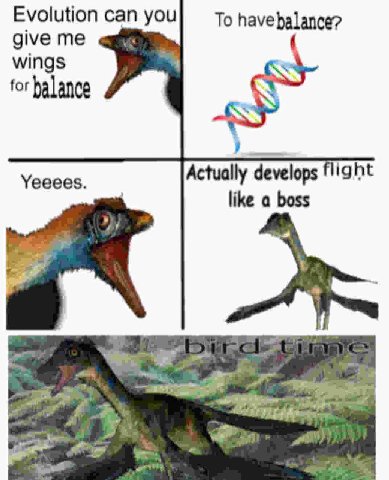 Evolution can you To have balance? give me у wings for halance Actually develops flight Yeeees. like a boss 2 к